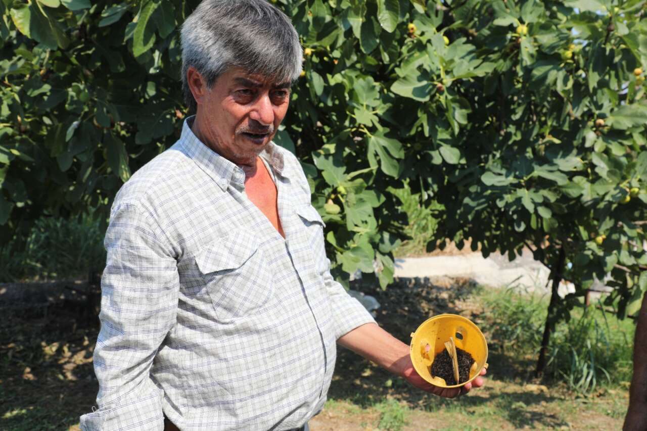 Muğla’da Üreticiyi Koruyacak Mücadele Başladı 1